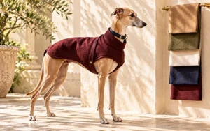 luxury dog clothing style